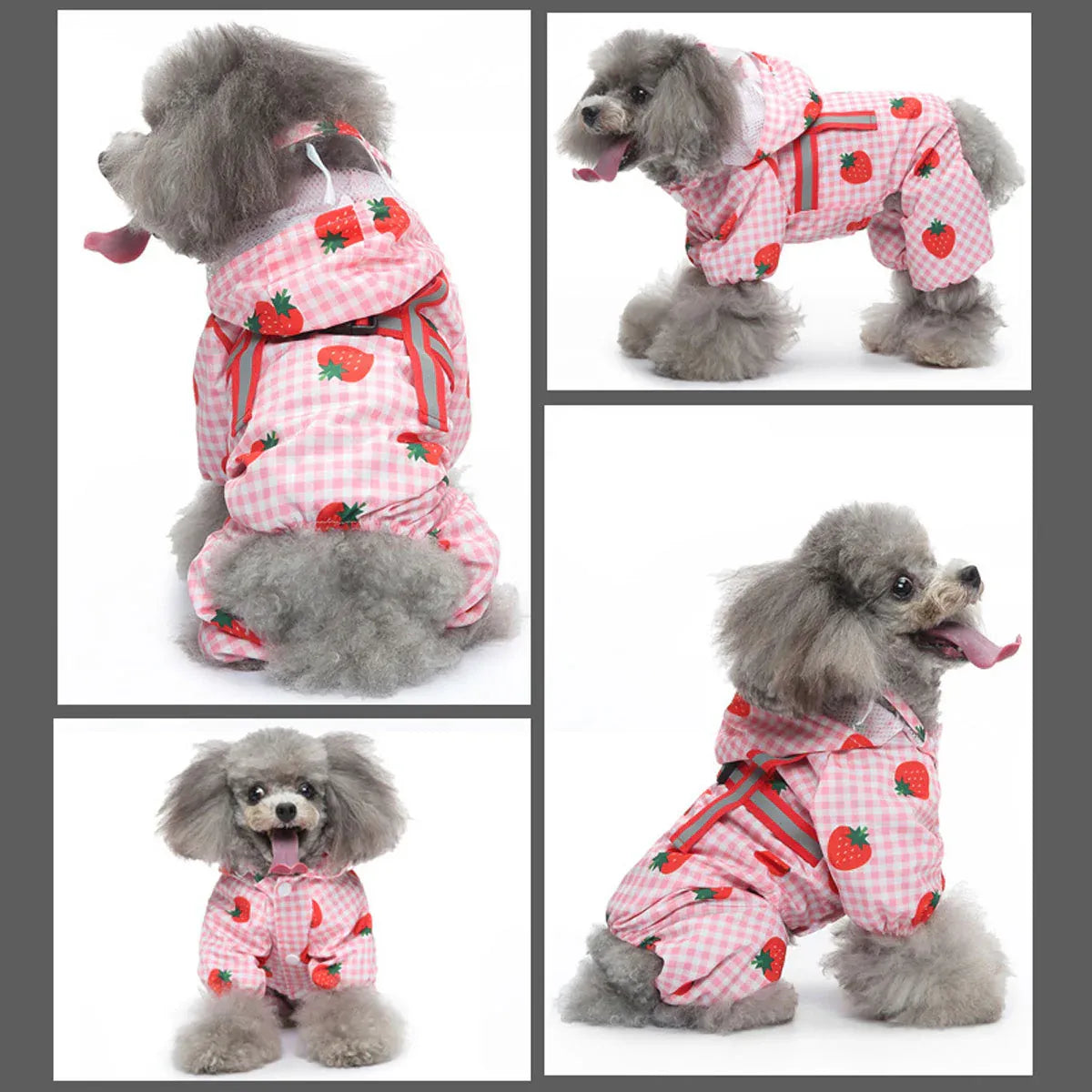 Strawberry Fields Waterproof Raincoat